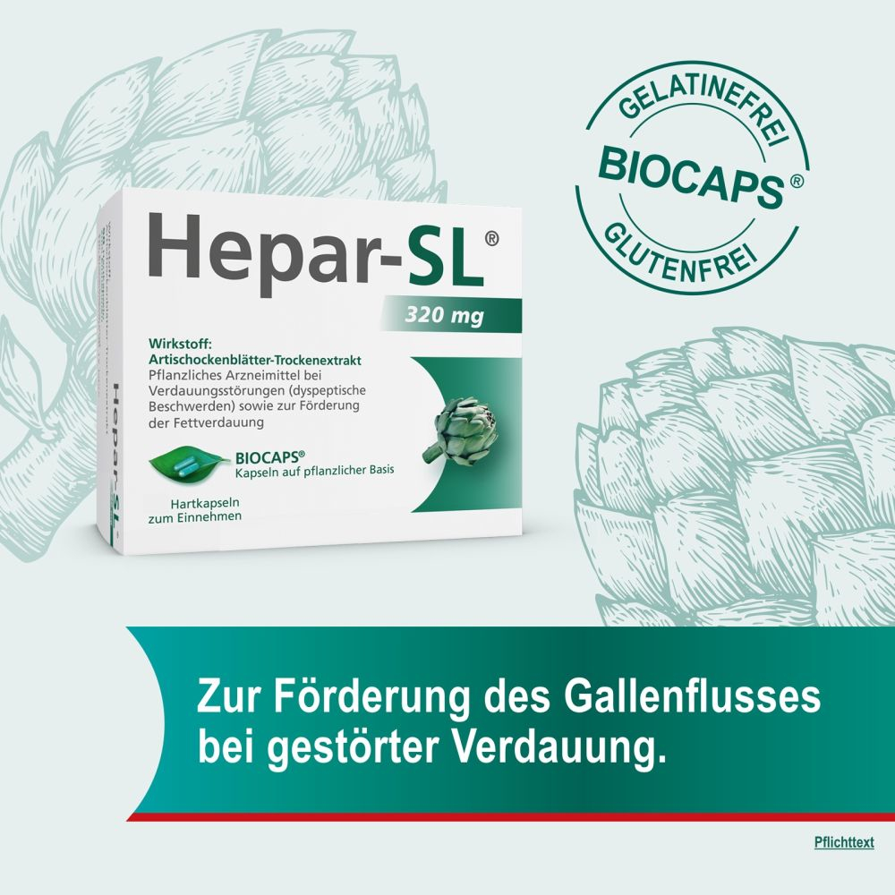 HEPAR SL 320 mg Hartkapseln 100 St Hartkapseln