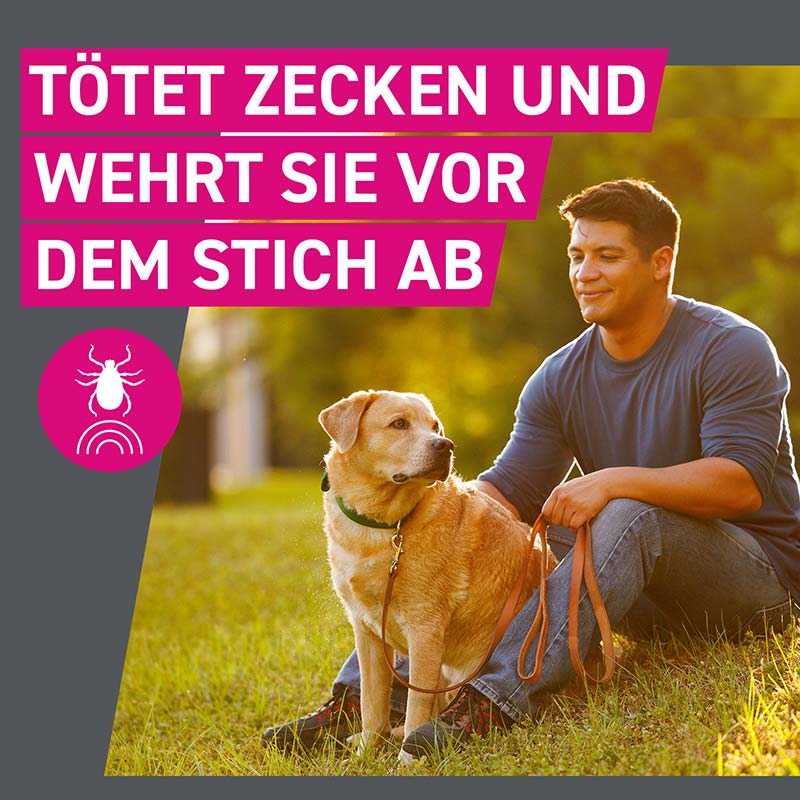 FRONTLINE TRI-ACT gegen Zecken, Flöhe und fliegende Insekten für Hunde XS (2-5 kg)  3 St Lösung