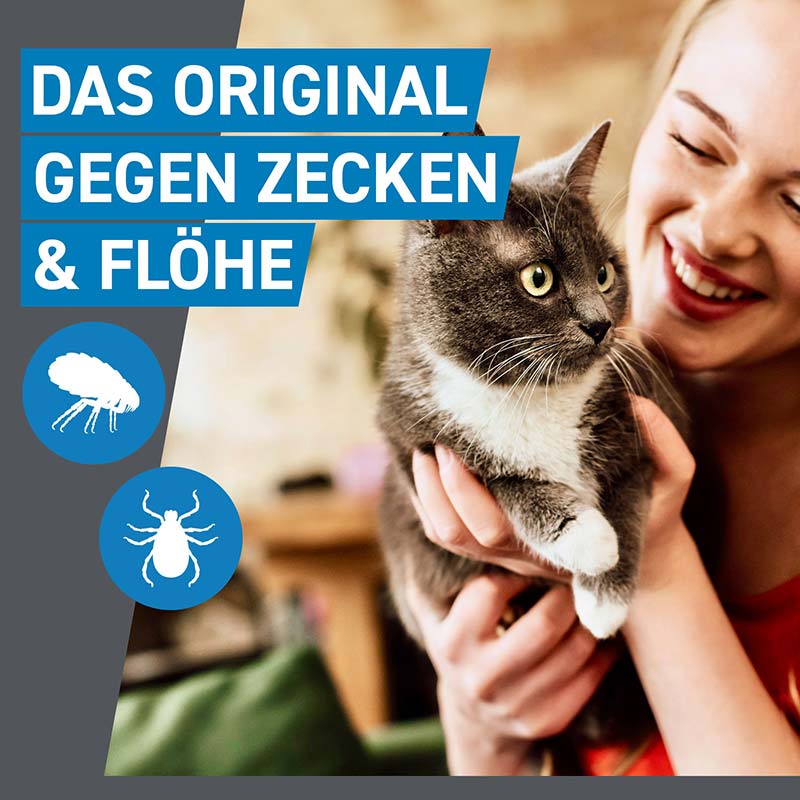 FRONTLINE SPOT-ON gegen Zecken und Flöhe für Katzen 6 St Lösung
