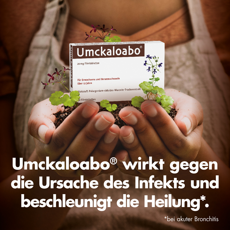 Umckaloabo 20 mg 60 St Filmtabletten