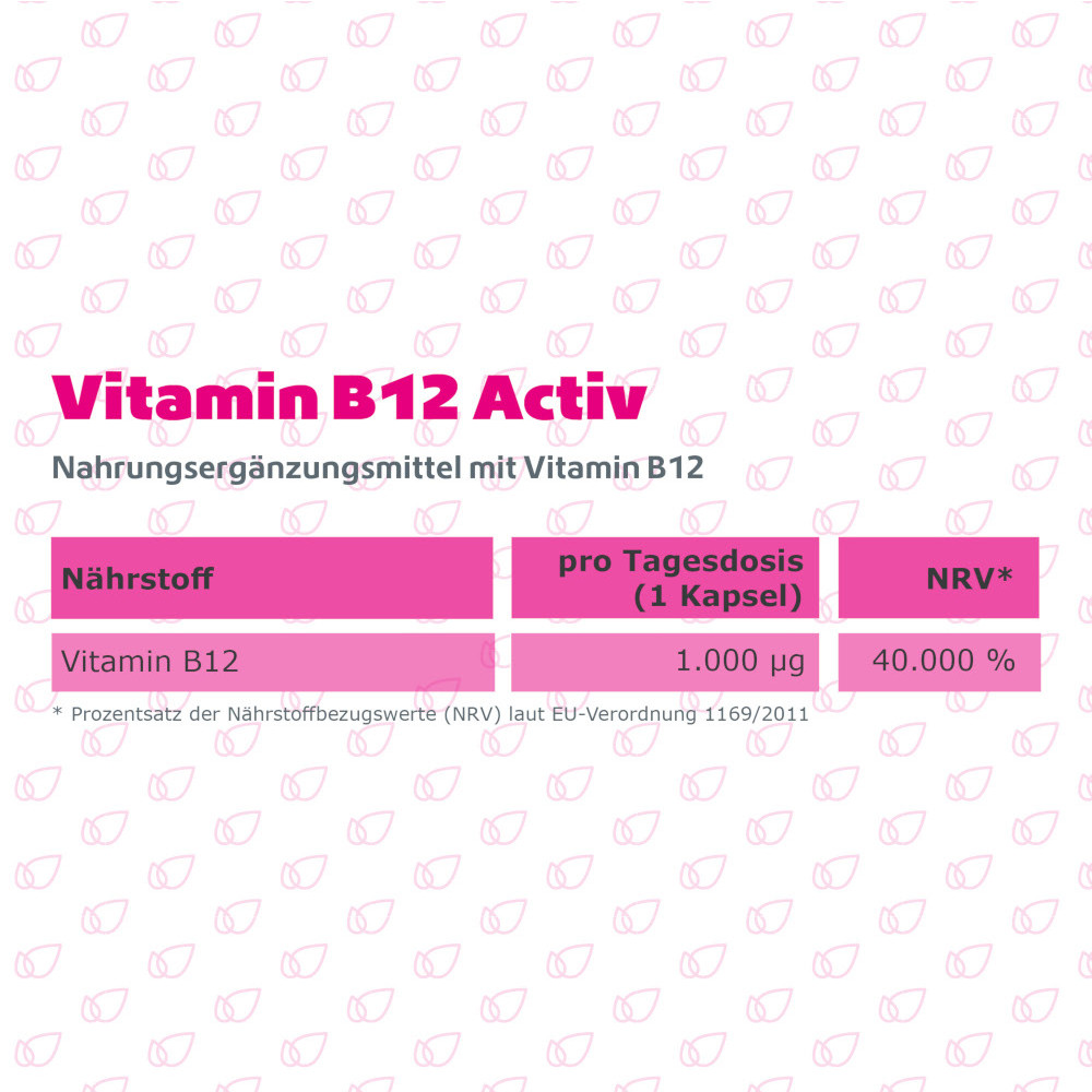 R(h)ein Nutrition Vitamin B12 Activ 1000µg 120 St Kapseln