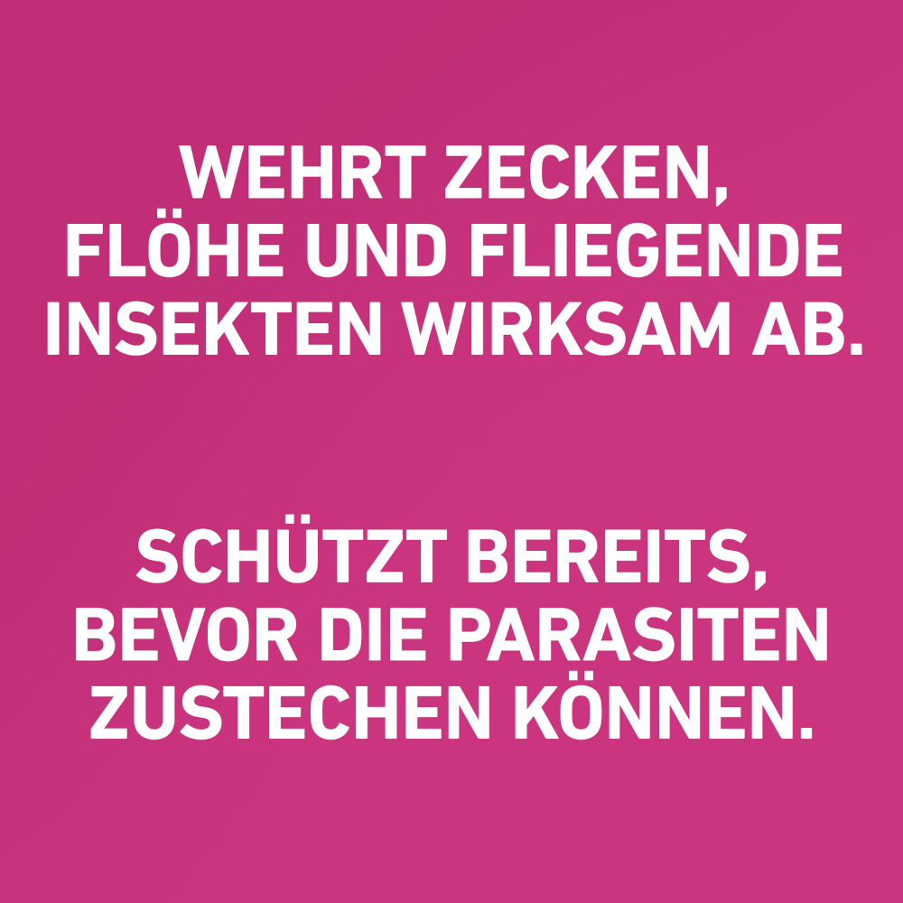 FRONTLINE TRI-ACT gegen Zecken, Flöhe und fliegende Insekten für Hunde S (5-10 kg)  3 St Lösung