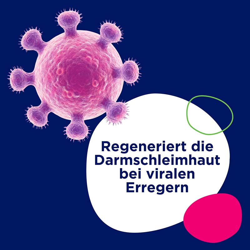 PERENTEROL FORTE 250 mg Bei akutem Durchfall 20 St Hartkapseln