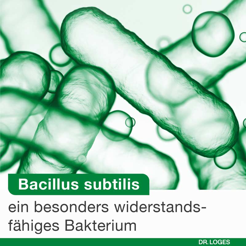 bioticLoges subtilis 15 St Kapseln