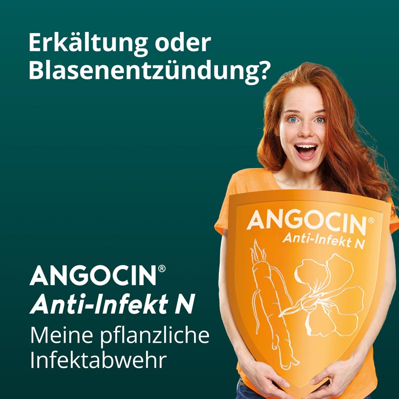 ANGOCIN Anti-Infekt N 60 St Filmtabletten