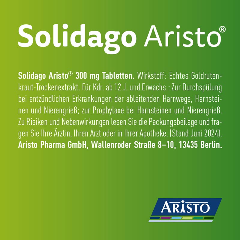 Solidago Aristo 300mg Tabletten  60 St Tabletten