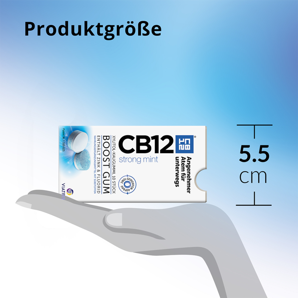 CB12 BOOST GUM strong mint XYLITOL-KAUGUMMI 10 St Kaugummi