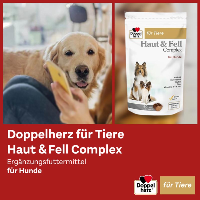 Doppelherz Haut & Fell Complex für Hunde 60 St Kautabletten