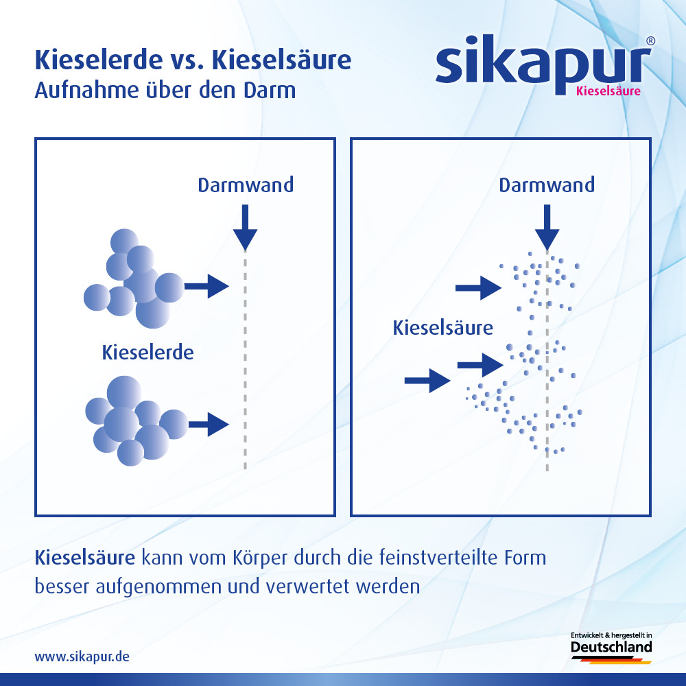 SIKAPUR Kieselsäure Softgel  mit Biotin 90 St Kapseln