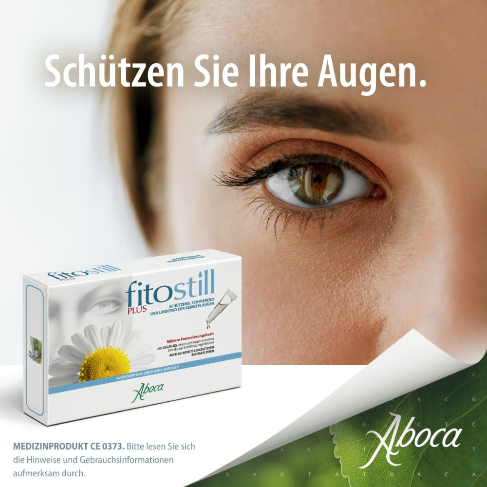 fitostill PLUS bei geröteten und überanstrengten Augen 10X0.5 ml Augentropfen