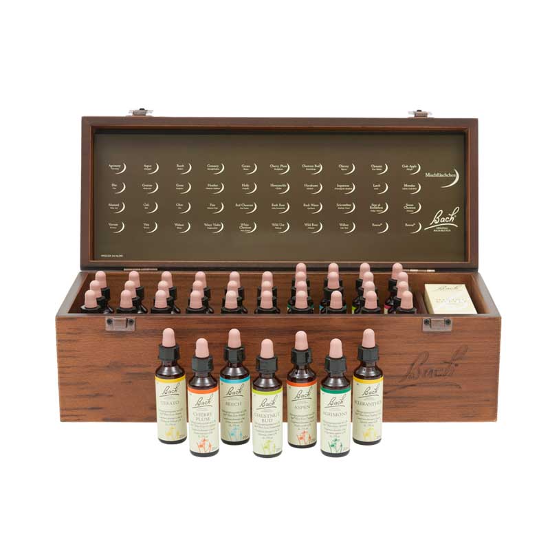 BACHBLÜTEN Original Professional Set 40 x 20ml 800 ml Tropfen