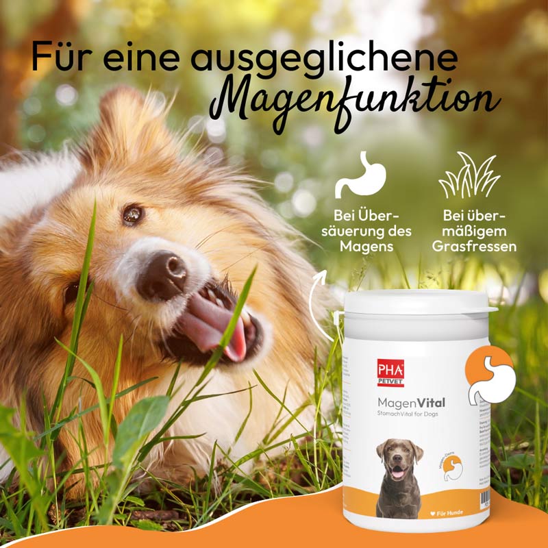 PHA Magenvital  200 g Pulver