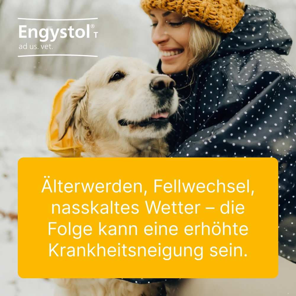 Engystol T ad us. vet. 500 St Tabletten