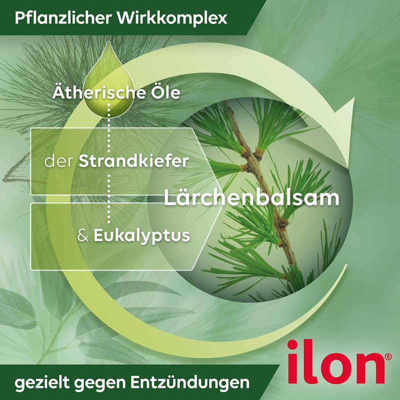 ilon SALBE CLASSIC 100 g Salbe