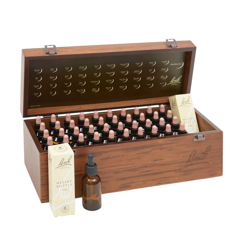 BACHBLÜTEN Original Professional Set 40 x 20ml 800 ml Tropfen