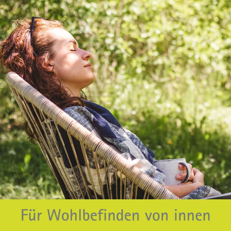 Schüßler-Salz Nr. 6 Kalium sulfuricum D6 15 g Globuli