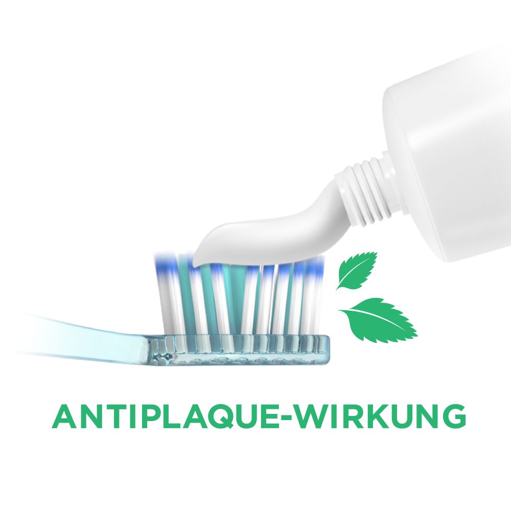 GUM PAROEX 0,06% CHX  75 ml Zahnpasta