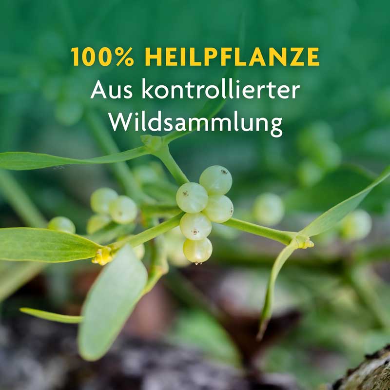 Schoenenberger Naturreiner Heilpflanzensaft Melisse 200 ml Saft