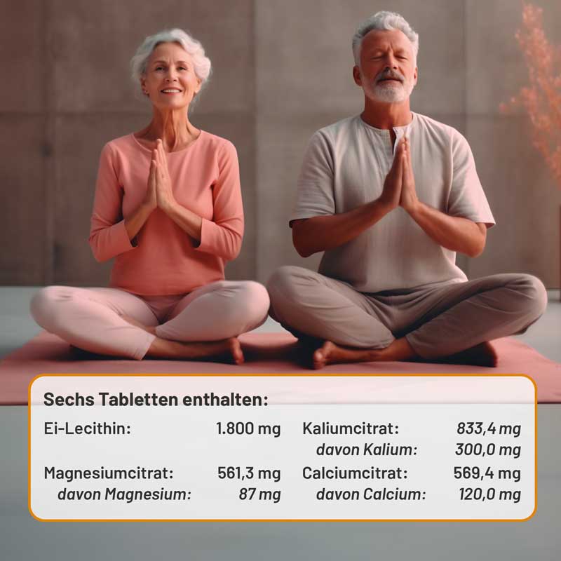 Phosetamin NE  100 St Tabletten