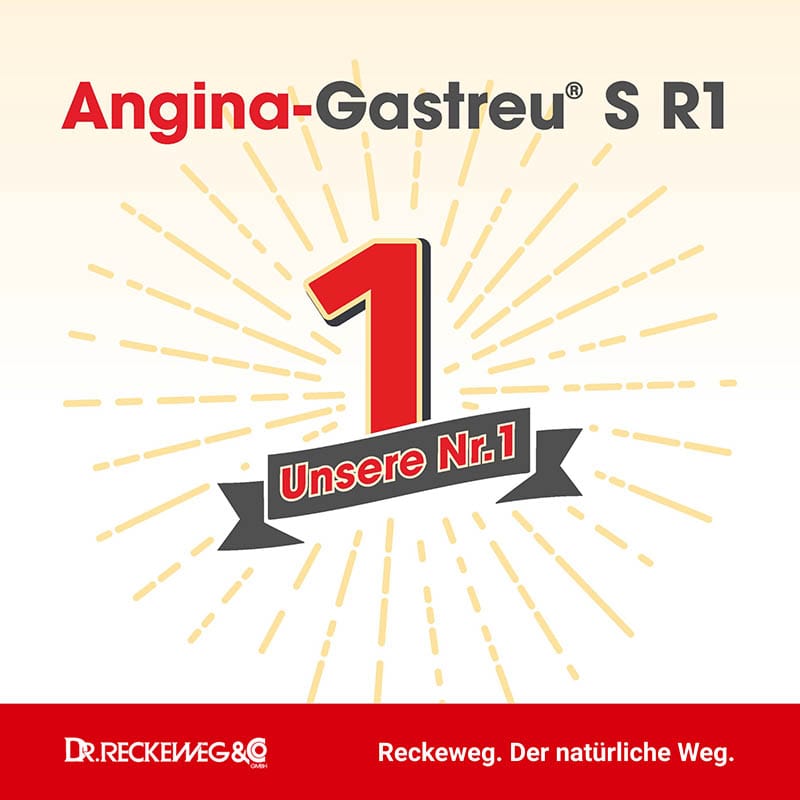 ANGINA Gastreu S R 1 Tropfen zum Einnehmen 50 ml Mischung