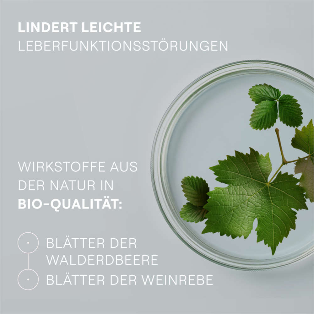 WELEDA HEPATODORON  200 St Tabletten