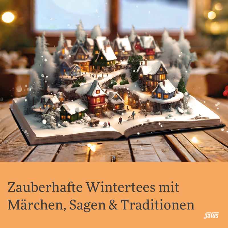 Salus Wintertee Feliz navidad 15 St Filterbeutel