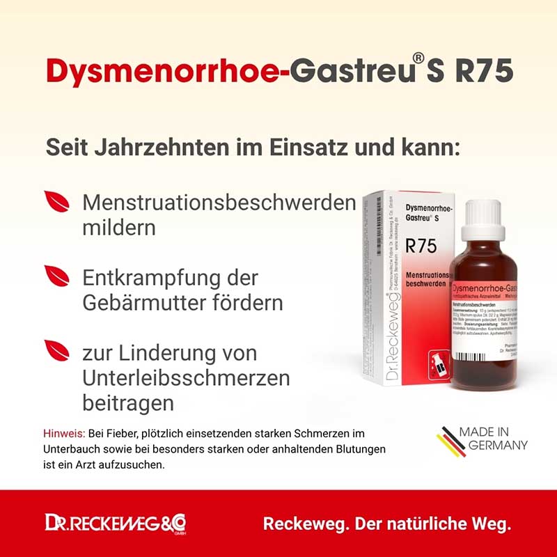DYSMENORRHOE Gastreu S R 75 Tropfen zum Einnehmen 22 ml Mischung