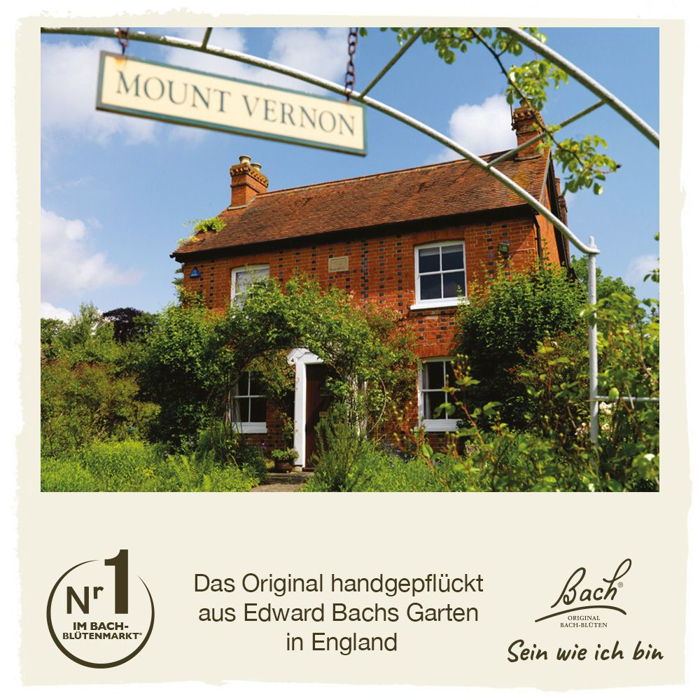 BACHBLÜTEN Original Sweet Chestnut Nr. 30 20 ml Tropfen