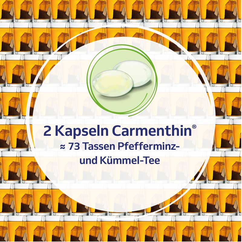Carmenthin bei Verdauungsstörungen  42 St Magensaftresistente Weichkapseln
