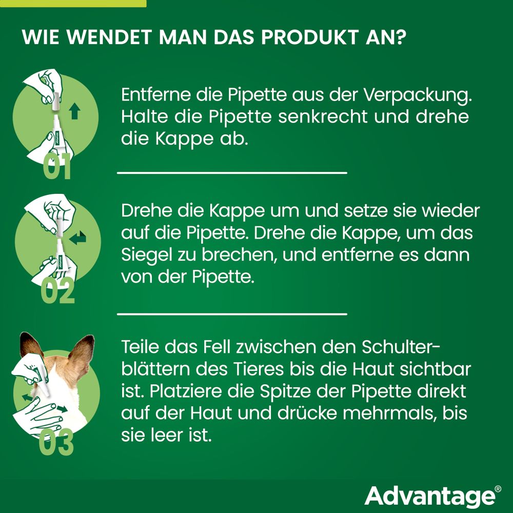 ADVANTAGE 100 HUND 4 St Lösung