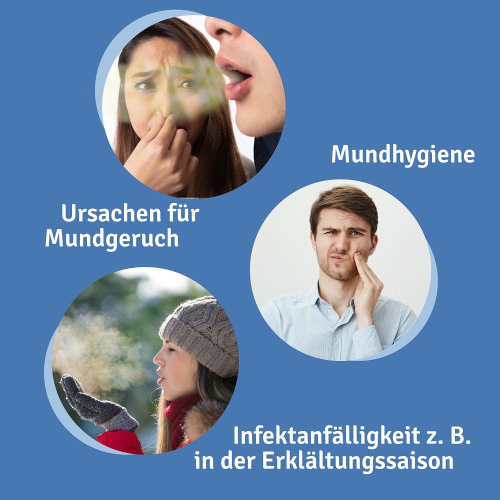 REPHA-OS Mund- & Rachenspray 12 ml Spray