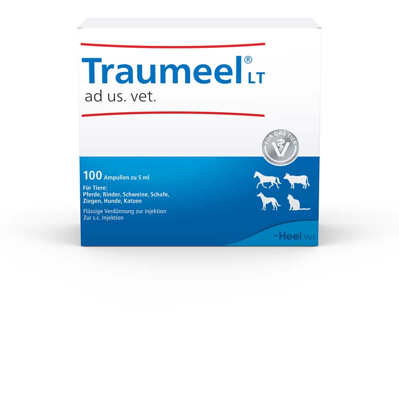 Traumeel LT ad us. vet. 100X5 ml Ampullen