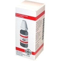 AMBRA D 12 Globuli 10 g Globuli
