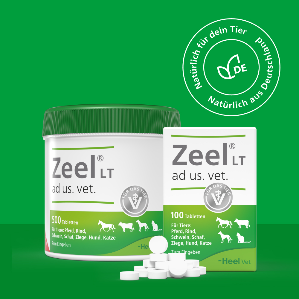 Zeel ad us. vet. 100 St Tabletten