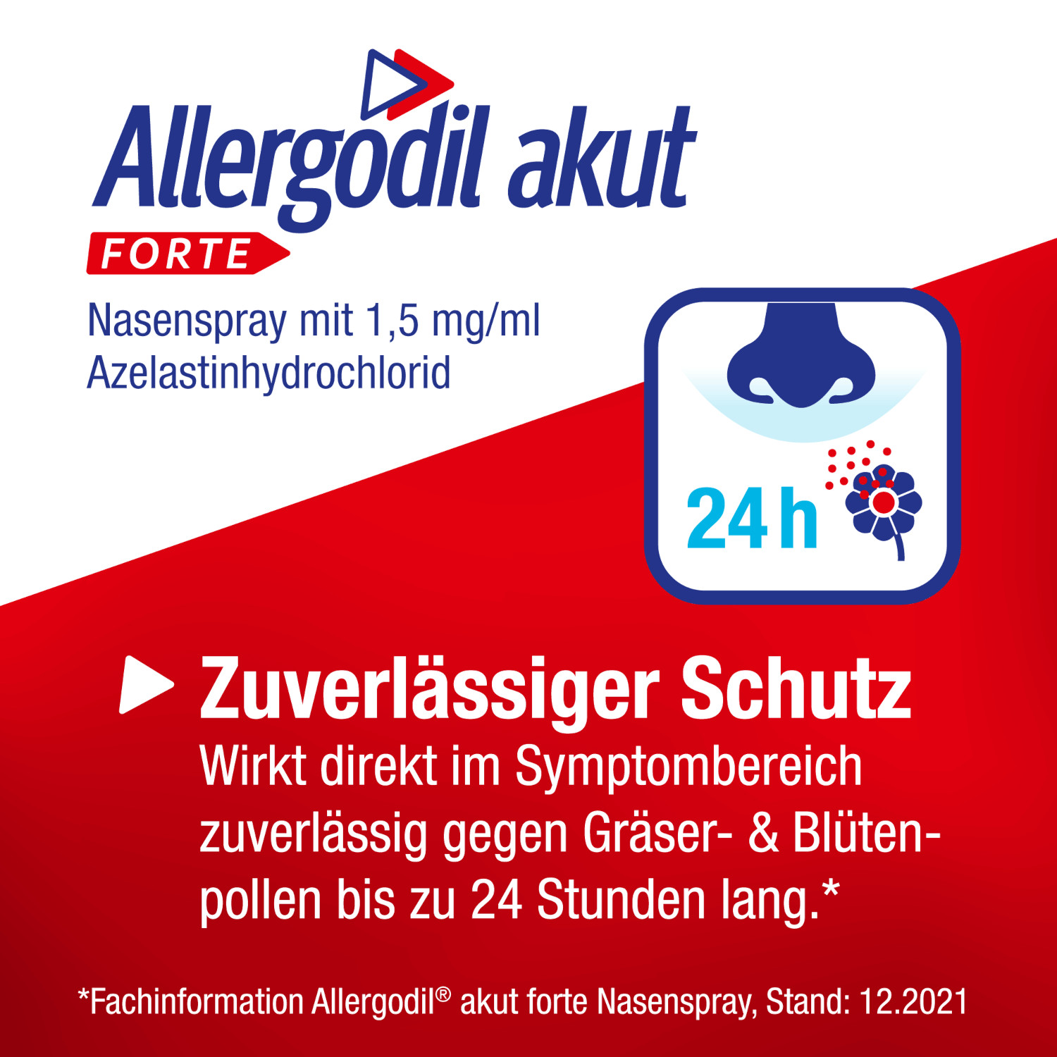 Allergodil akut FORTE 10 ml Nasenspray