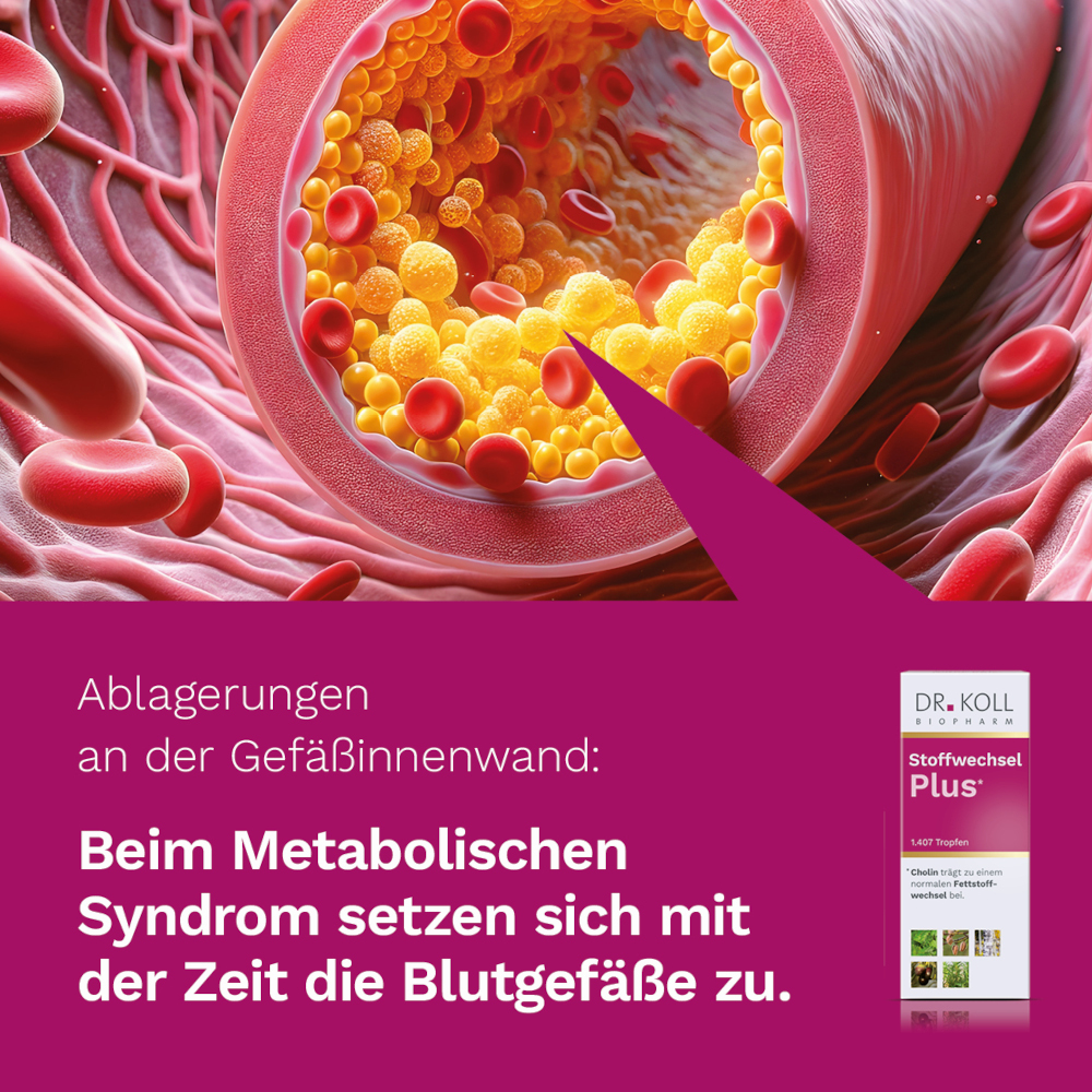DR. KOLL Stoffwechsel Plus 50 ml Tropfen