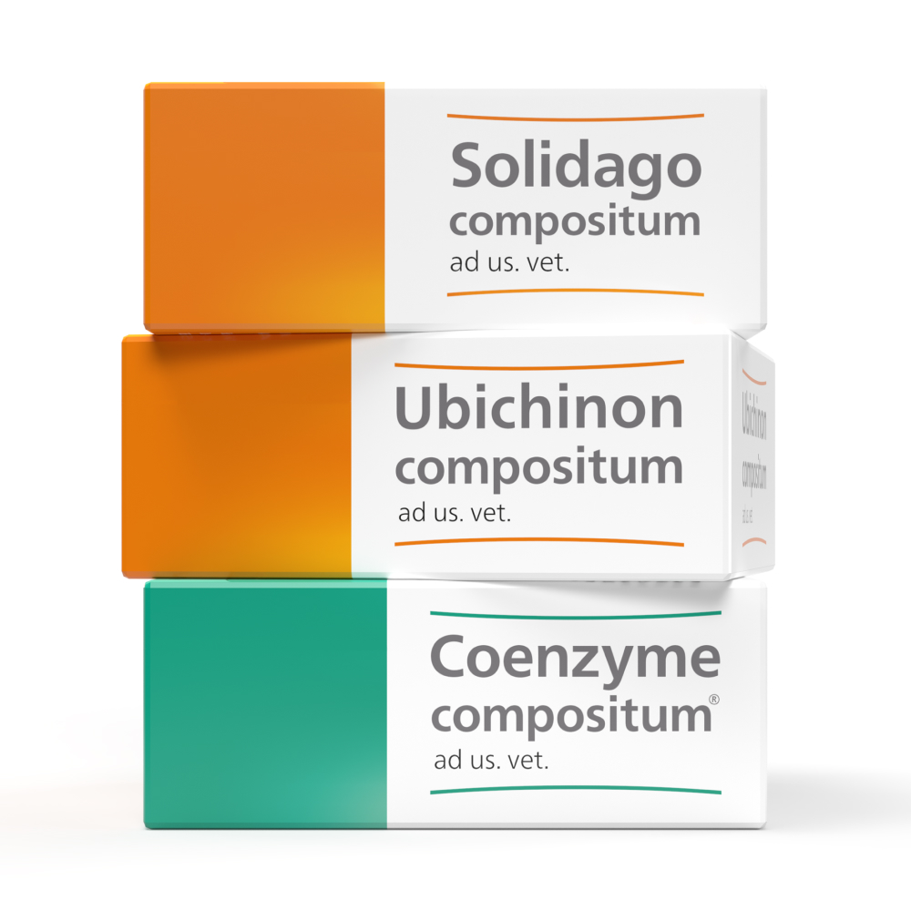 COENZYME compositum ad. us. vet. 10 St Ampullen