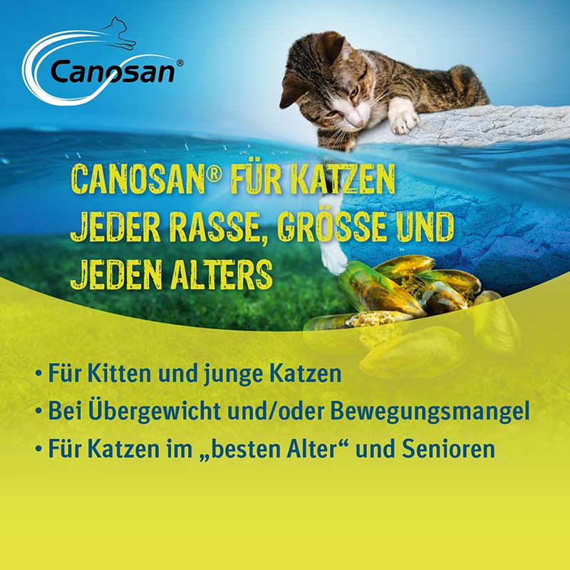 Canosan - Zur Unterstützung der Gelenke & des Bindegewebes für Katzen mit Grünlippmuschel-Extrakt Gonex 30 St Kautabletten