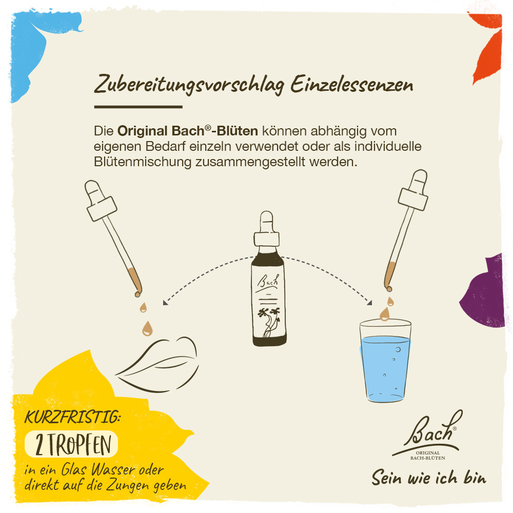 BACHBLÜTEN Original Gorse Nr. 13 20 ml Tropfen