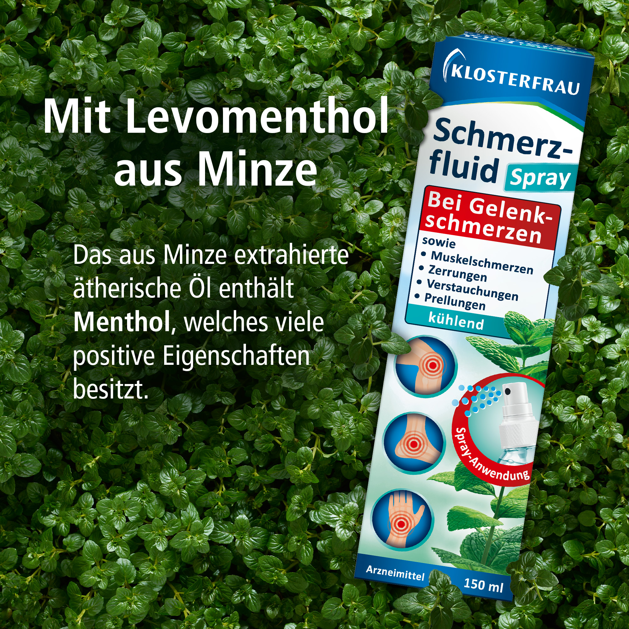 KLOSTERFRAU Schmerzfluid Spray 150 ml Lösung