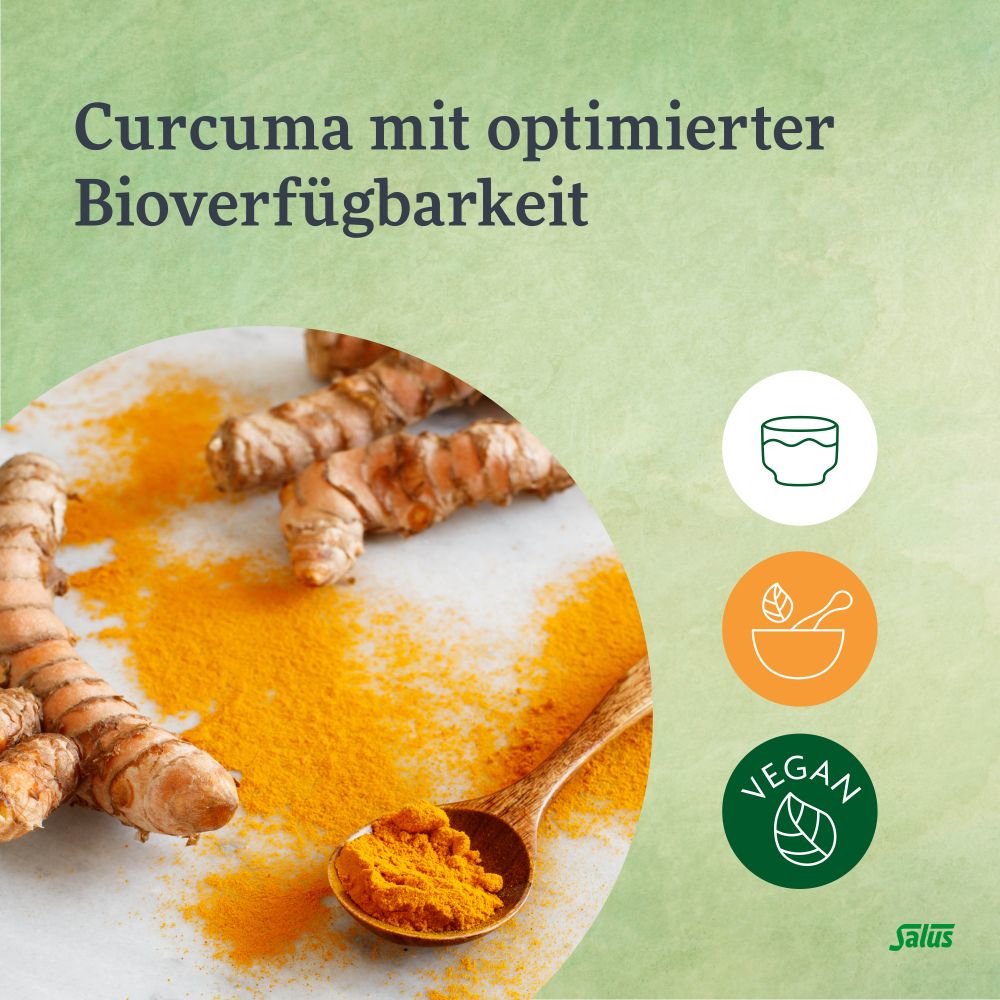 Salus Darm-Care Curcuma Bioaktiv 500 ml Tonikum
