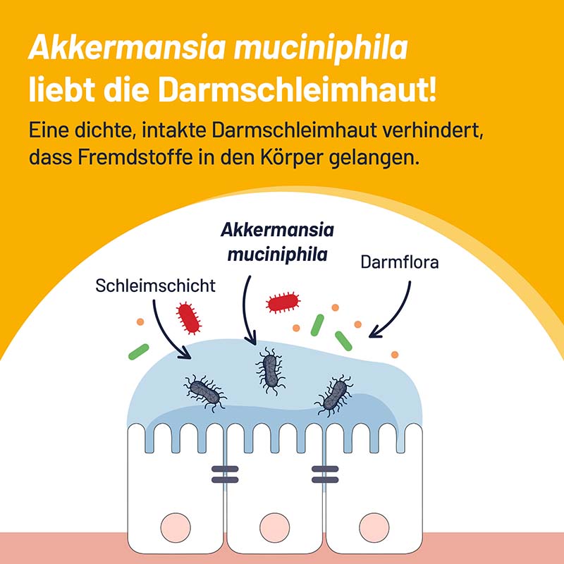 PROBIO-CULT AKK1 DARM MUKOSA PRO 30 St Tabletten