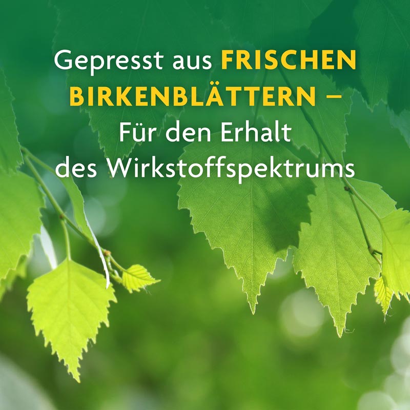 Schoenenberger Naturreiner Heilpflanzensaft Birke 200 ml Saft