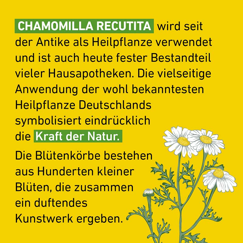 Chamomilla D12 Globuli Pflüger 10 g Globuli