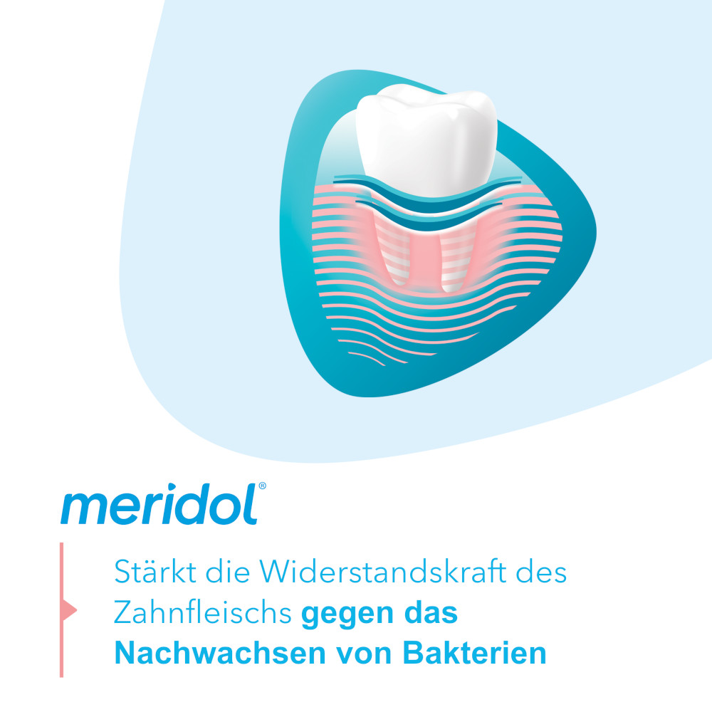 meridol ZAHNFLEISCHSCHUTZ  400 ml Lösung