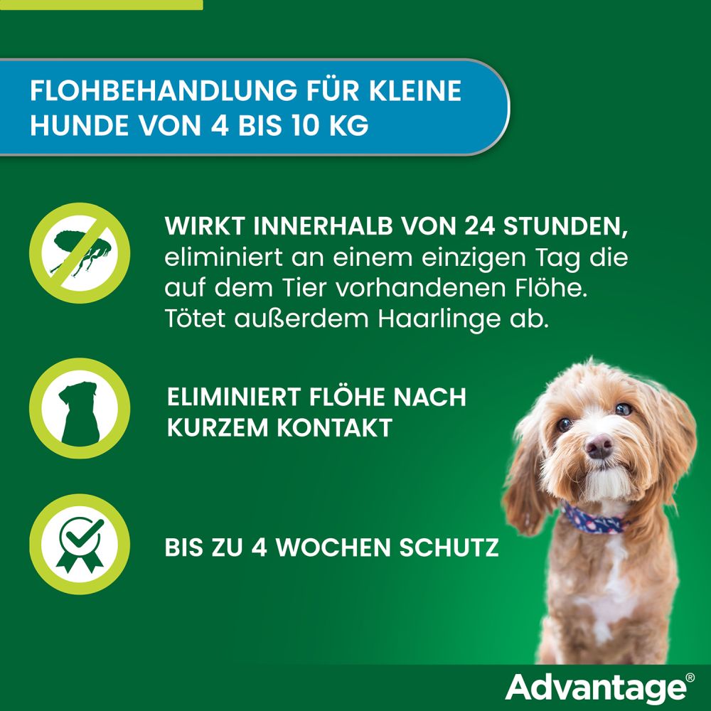 ADVANTAGE 100 HUND 4 St Lösung