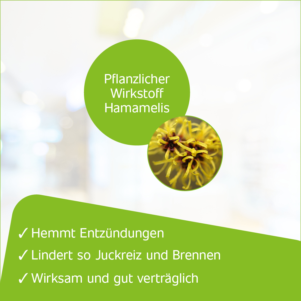 Hametum Hämorrhoidenzäpfchen 10 St Suppositorien