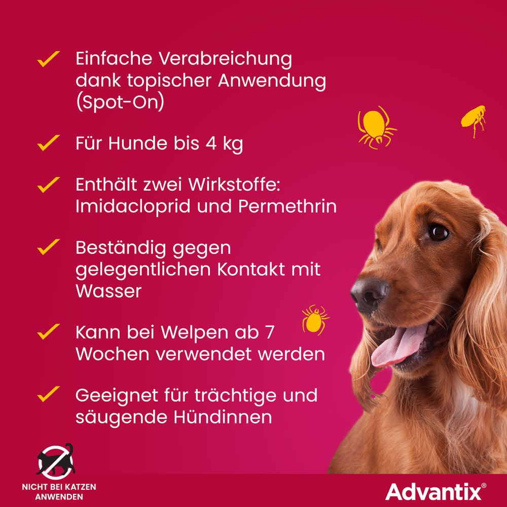 ADVANTIX SPOT-ON HUND BIS 4KG 4 St Lösung