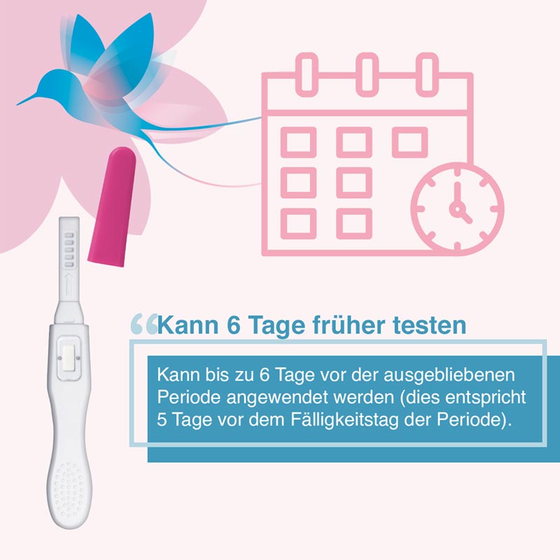 EarliBird Ultrafrüh Schwangerschaftstest 2 St Teststreifen