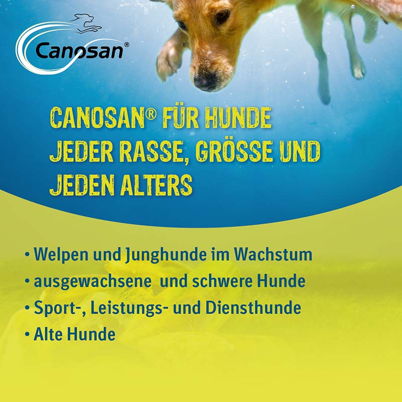 Canosan - Zur Unterstützung der Gelenke & des Bindegewebes für Hunde mit Grünlippmuschel-Extrakt Gonex 30 St Kautabletten